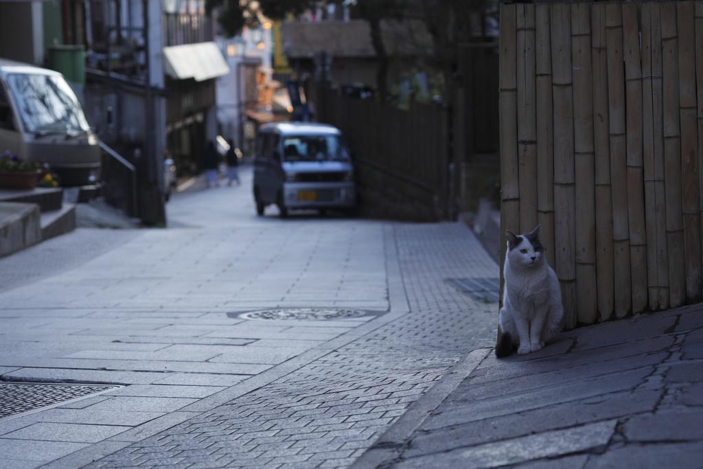 Sakaeya Ξενοδοχείο Yamanouchi  Εξωτερικό φωτογραφία